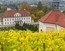 photo/Schloss_Wackerath_Radebeul_Saksen_Duitsland-sh- (5)-min.jpg